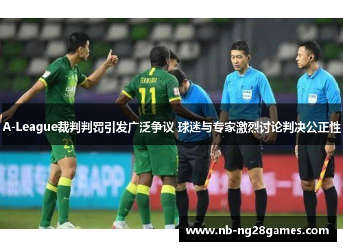 A-League裁判判罚引发广泛争议 球迷与专家激烈讨论判决公正性