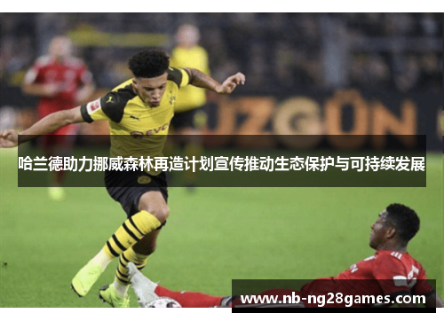哈兰德助力挪威森林再造计划宣传推动生态保护与可持续发展