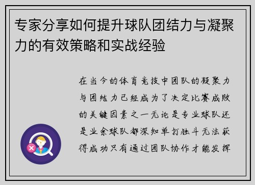 专家分享如何提升球队团结力与凝聚力的有效策略和实战经验