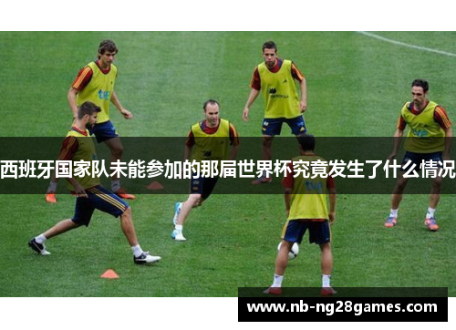 西班牙国家队未能参加的那届世界杯究竟发生了什么情况