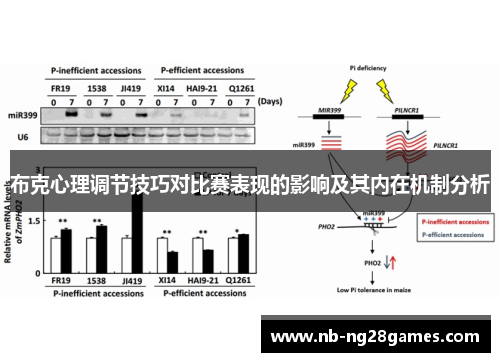 布克心理调节技巧对比赛表现的影响及其内在机制分析